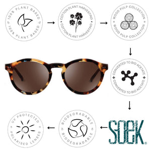 BEYOND SUNKISSED - Bio Acetate Tortoise Frame l Black Polarised Lens - Soek Fashion Eyewear Australia